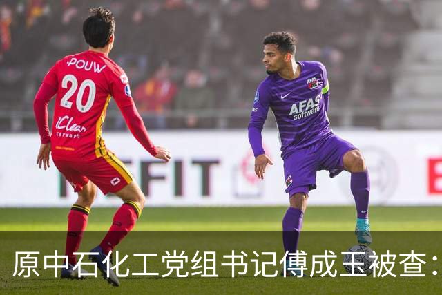 原中石化工党组书记傅成玉被查：退休不是平安着陆证，释放最强反腐信号